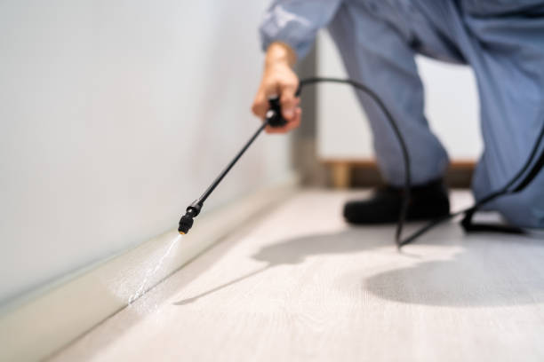 Licensed Pest Control service in Fate, TX - Show Me Pest Control